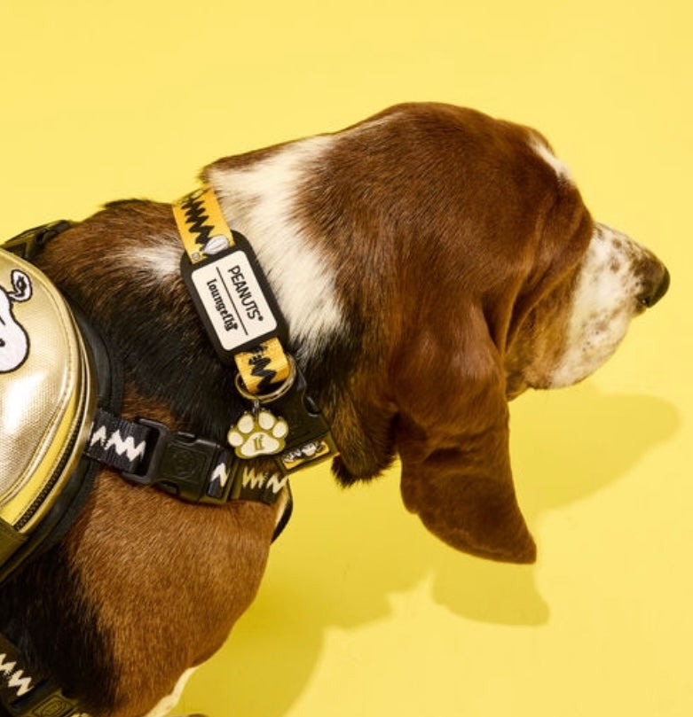 Load image into Gallery viewer, Loungefly Peanuts 75th Anniversary Pet Collar
