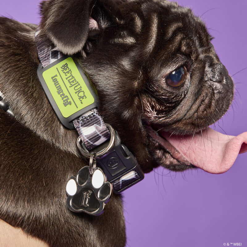 Load image into Gallery viewer, Loungefly Pets Beetlejuice Sandworm Collar
