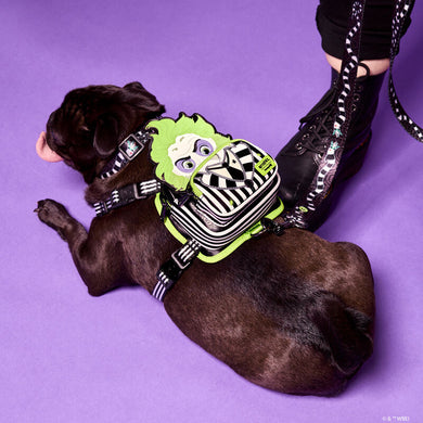Loungefly Pets Beetlejuice Cosplay Mini Backpack Dog Harness